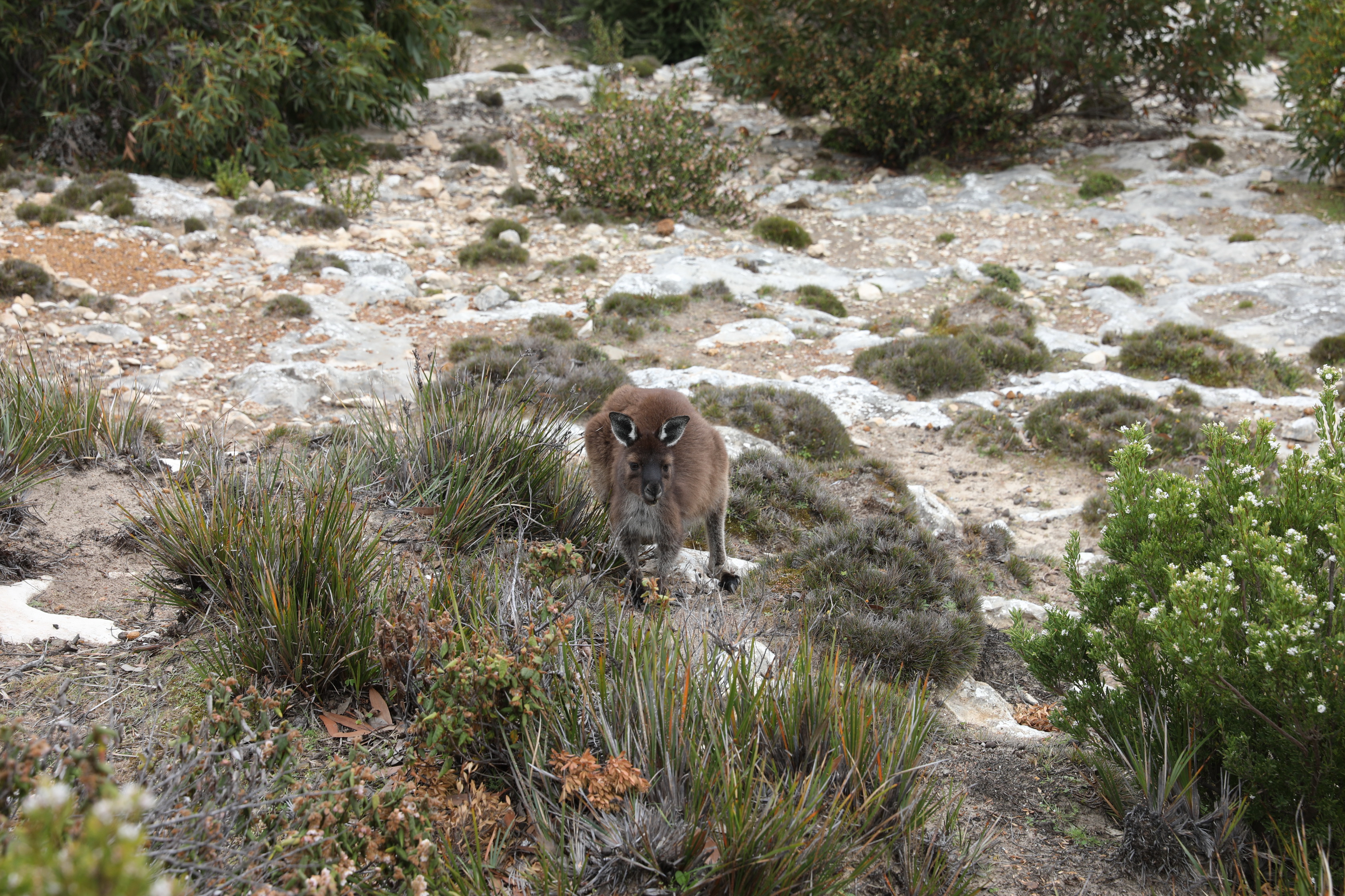 2019 10 02 11 49 05 Canon EOS 5D Mark IV 0015